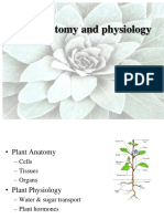 Plant anatomy.ppt