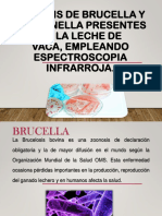 Analisis de Brucella y Salmonella en Leche