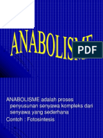 Anabolism e