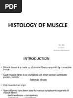 Histology of Muscle: Lecturer Anatomy Department