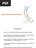 Nucleic Acids and Protein Synthesis