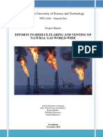 Reducing Global Gas Flaring Through Coordinated Efforts