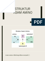 Struktur Asam Amino