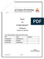 Python Report.pdf
