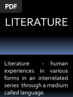 Basic Concepts on Literature and Basis of Knowledge in Evaluating Literature