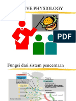 Digestion Physiology A&p Ii - 2