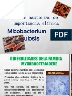 mycobacterium tbc