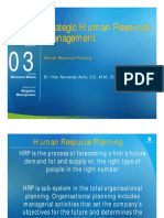 Strategic Human Resource Management (TM3)