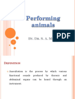 Performing Animal