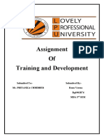 Assignment of Training and Development