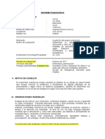 Modelo Informe de Salud Mental 1 Sbrid