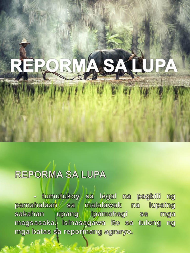 Reporma Sa Lupa | PDF