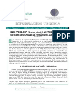 Mani forrajero alimento animal.pdf