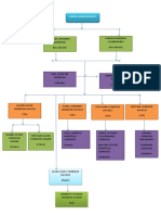 Arbol Genealogico