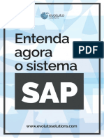 Entenda Agora o Sistema SAP