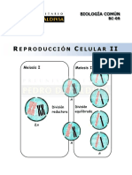 8 Reproduccion Celular II