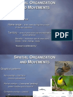 T04 Spatial Organization