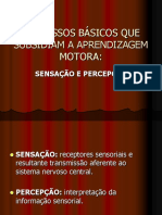 Processos Básicos Que Subsidiam a Aprendizagem Motora