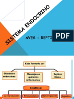 Sistema Endocrino