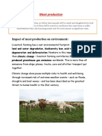 Impact of Meat Production On Environment