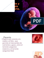 Clase 8 Placenta