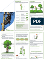 Roce de Lineas Arboles