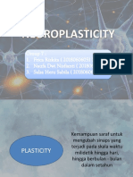 neuroplasticity ppt (2)