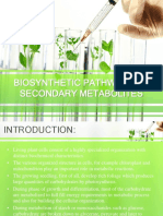 Amino Acid Pathway