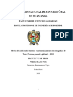 Efecto del AIB en el enraizamiento de estaquillas de teca