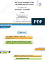 Práctica Microcultivo