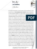 Acta de Discernimiento de Cargo en Rectificación de Área