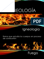 Igneología: Estudio del fuego y métodos de prevención