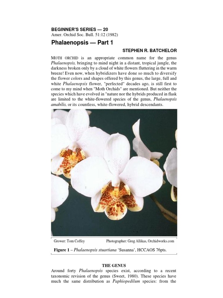 Beginner Orchid | PDF | Flowers | Leaf