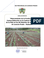 Mejoramiento de La Producción y Comercialización en La Cadena Productiva de La Piña en Los 06 Distritos de La Provincia de Leoncio Prado - Huánuco