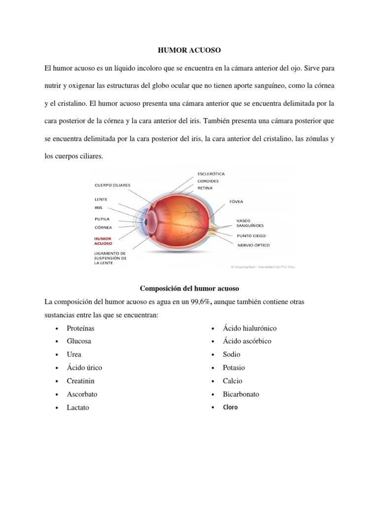 Composición y funciones del humor acuoso | PDF | Ojo humano | Science