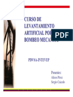 manual de SRP.pdf