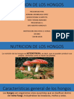 Nutricion de Los Hongos