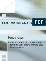 Sistem Hormon Pada Manusia