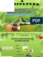 Agricultura I - Conceitos C. Guião 19-20 PDF