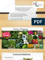 Fundamentos biología plantas