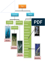 Ismail Djafar's fish classification chart
