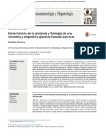 Anatomia Del Pancreas