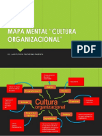 Mapa Mental Cultura Organizacional PDF