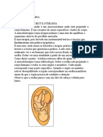 Auriculoterapia: equilíbrio através da orelha