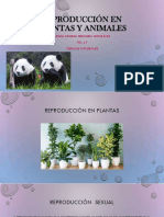 Reproducción en Plantas y Animales