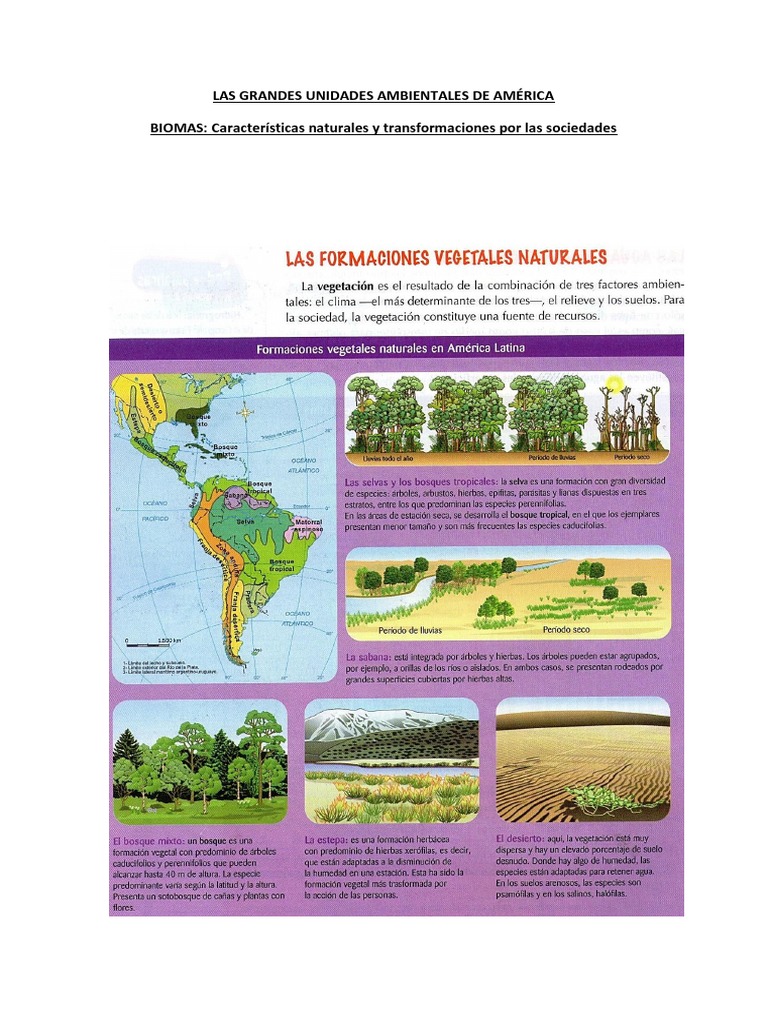 Biomas y Climas de América Latina | PDF