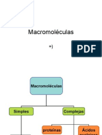 Macromolé..