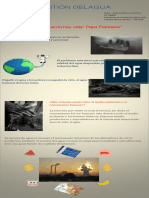 Infografía La Cuestión Del Agua PDF