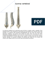 Anatomía de La Columna Vertebral