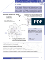 C El Intercambio Gaseoso en Animales